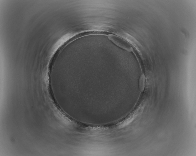 X0000112111077200908041536