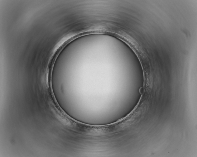 X0000112111078200908041536