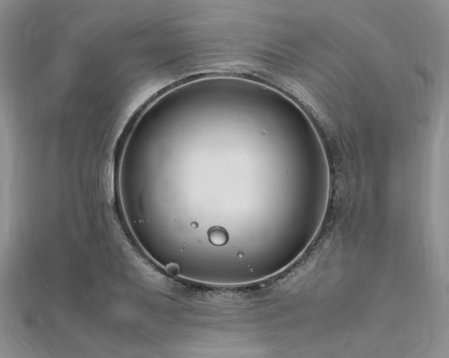 X0000112111079200908041536