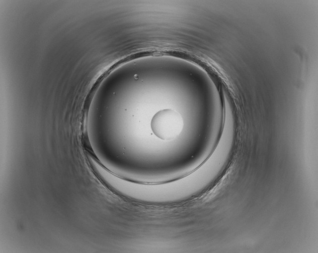 X0000112111081200908041536