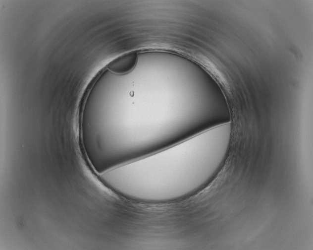 X0000112111084200908041536