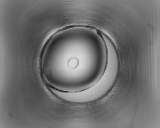 X0000112111085200908041536