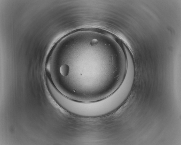 X0000112111088200908041536