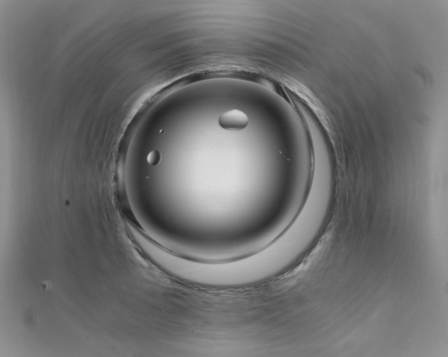 X0000112111089200908041536