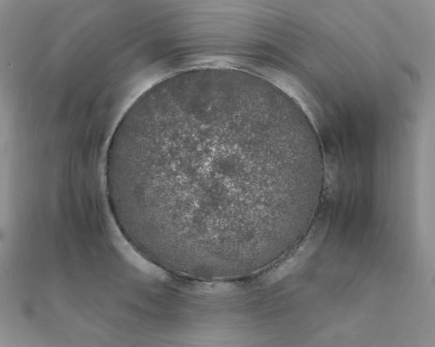 X0000112111090200908041536