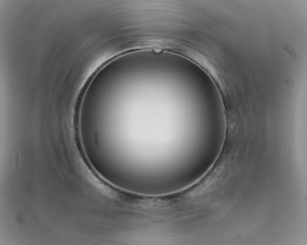 X0000112111091200908041536