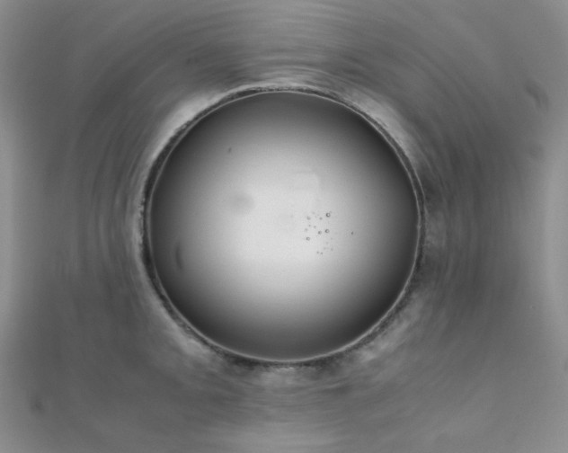 X0000112111093200908041536