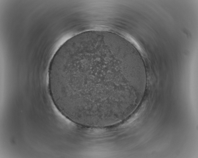 X0000112111095200908041536