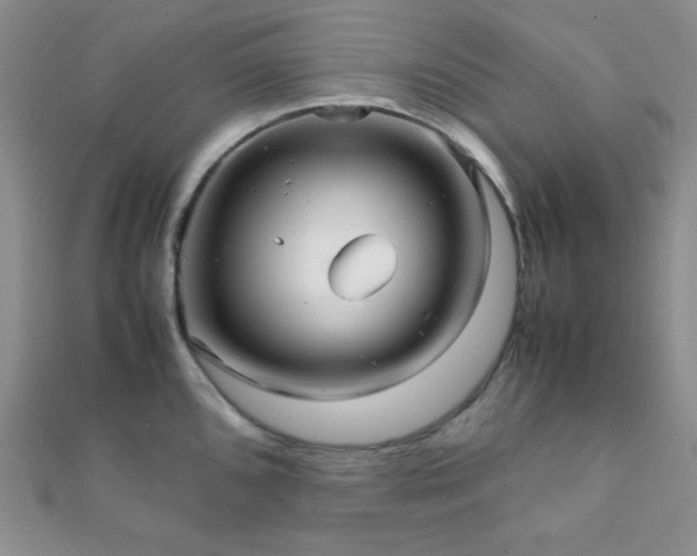 X0000112111096200908041536