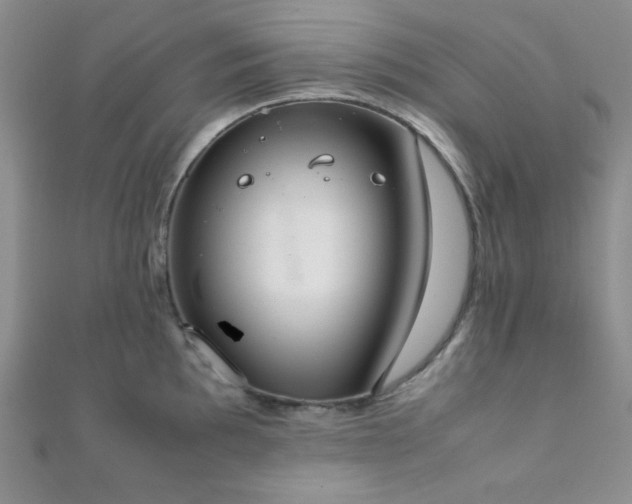 X0000112111097200908041536