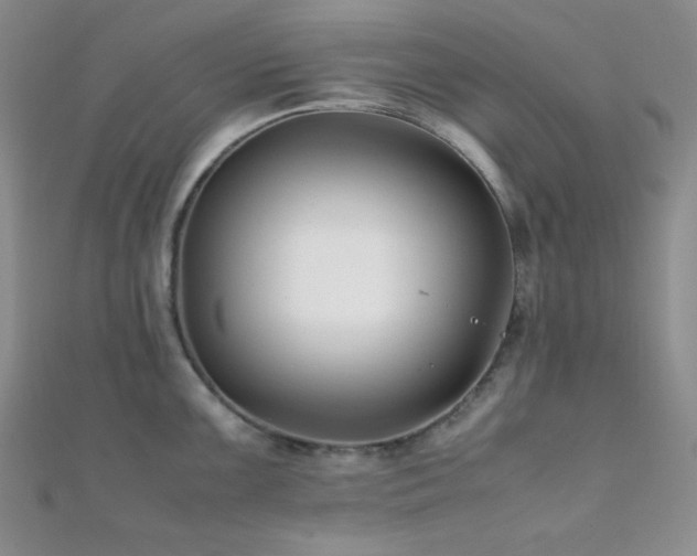 X0000112111099200908041536