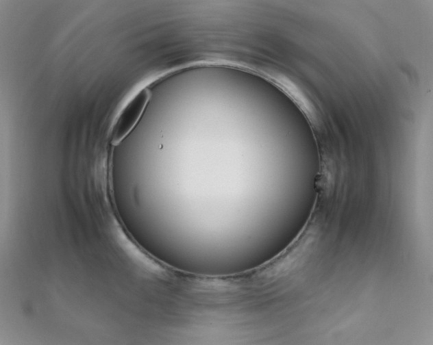 X0000112111100200908041536