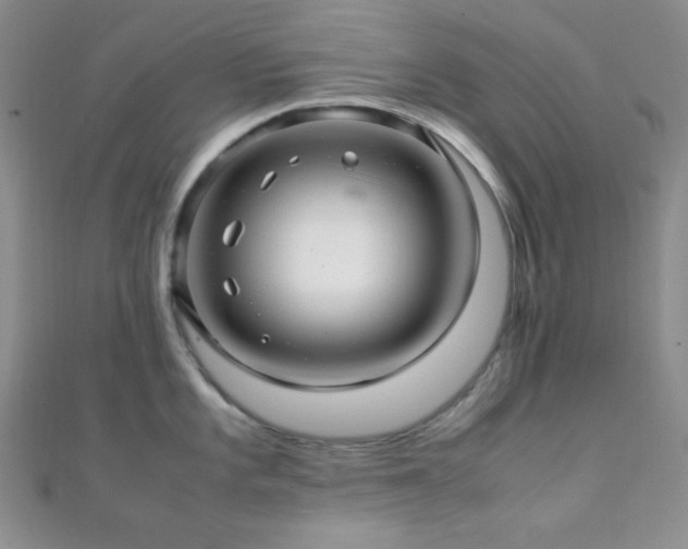 X0000112111101200908041536