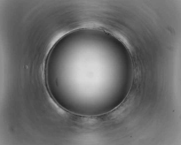 X0000112111103200908041536