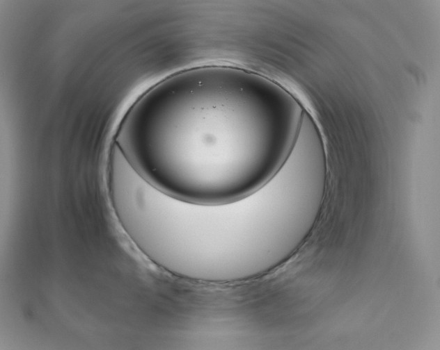 X0000112111104200908041536