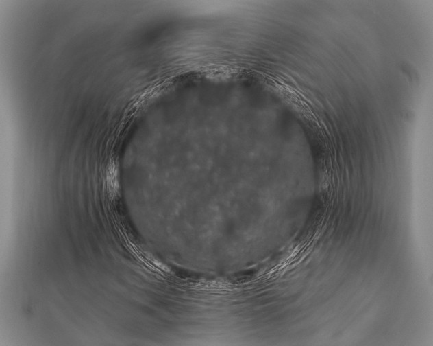 X0000112111106200908041535