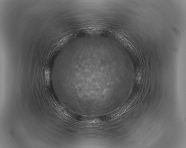 X0000112111108200908041535