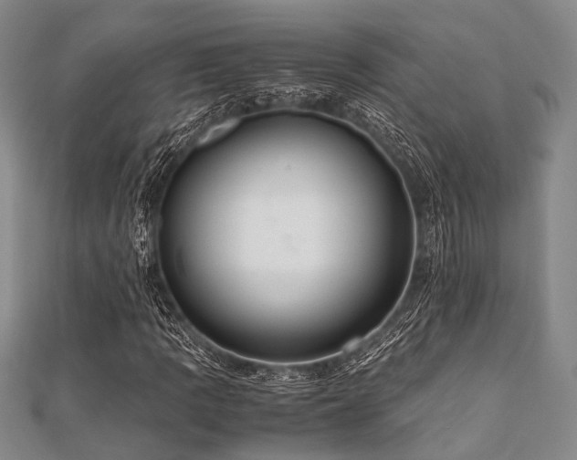 X0000112111109200908041535