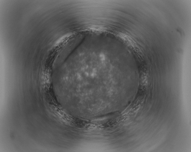 X0000112111110200908041535