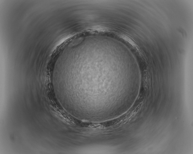 X0000112111112200908041535