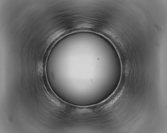 X0000112111113200908041535