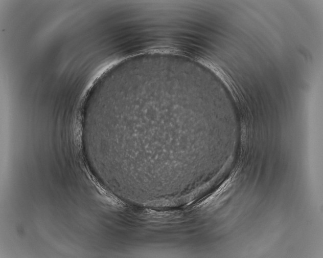 X0000112111115200908041535