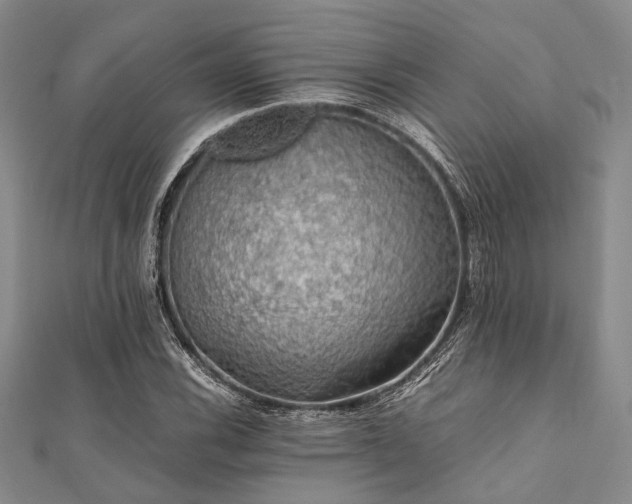 X0000112111116200908041535