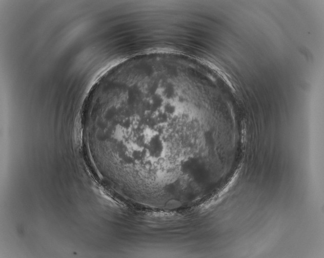 X0000112111117200908041535