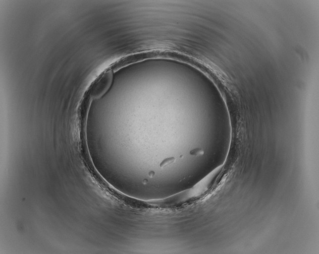 X0000112111118200908041535