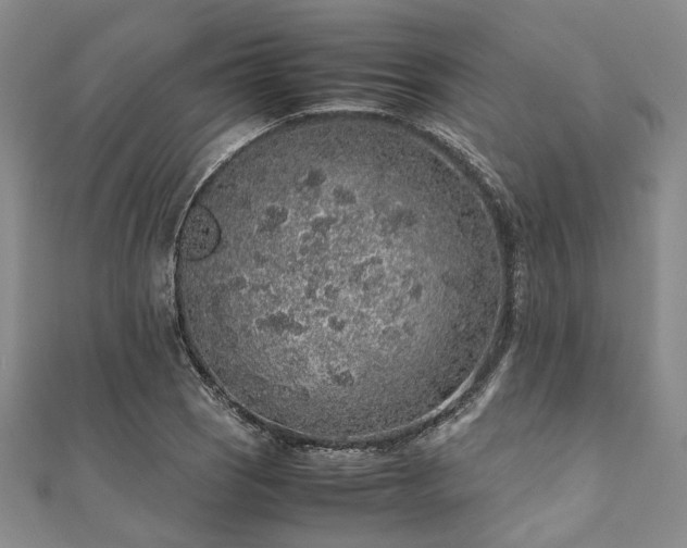 X0000112111121200908041535