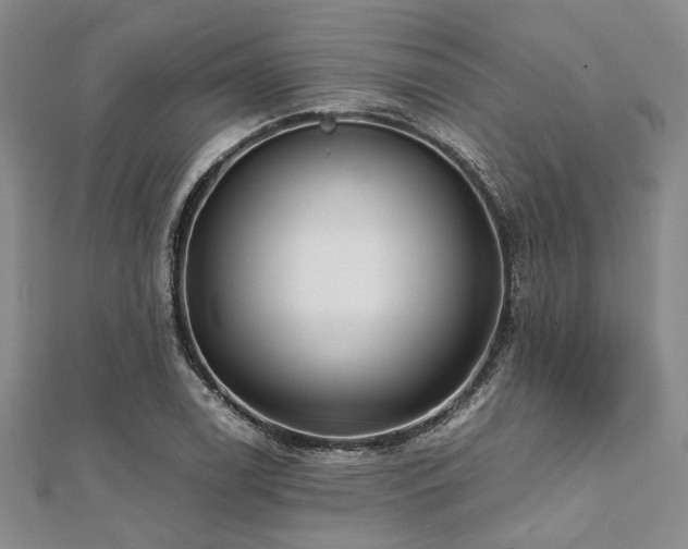 X0000112111122200908041535