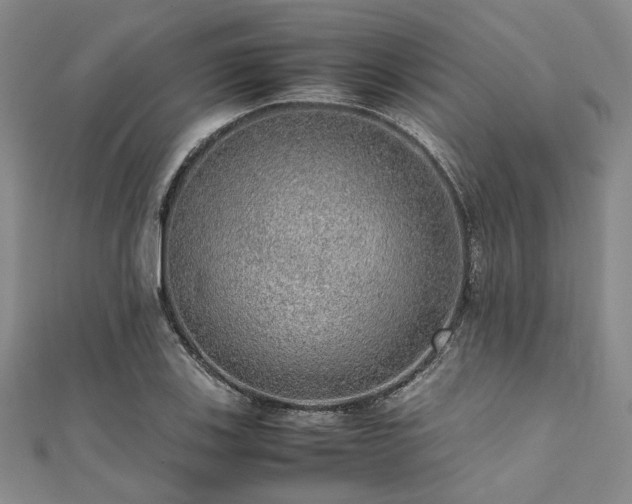 X0000112111123200908041535