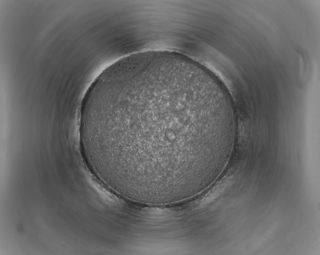 X0000112111124200908041535