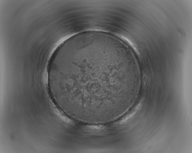 X0000112111125200908041535