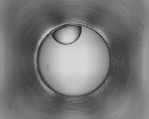 X0000112111128200908041535