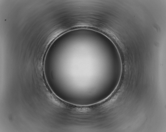 X0000112111129200908041535