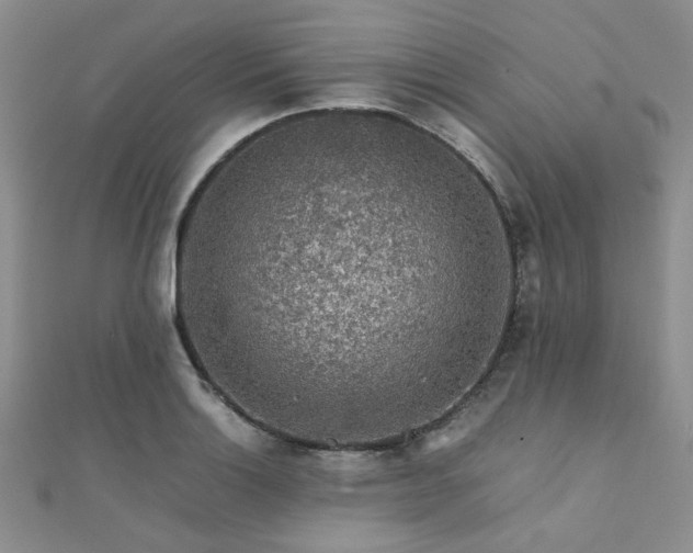 X0000112111132200908041536