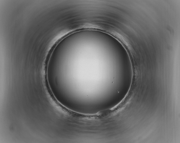 X0000112111133200908041536