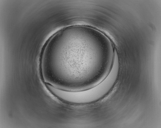 X0000112111134200908041536