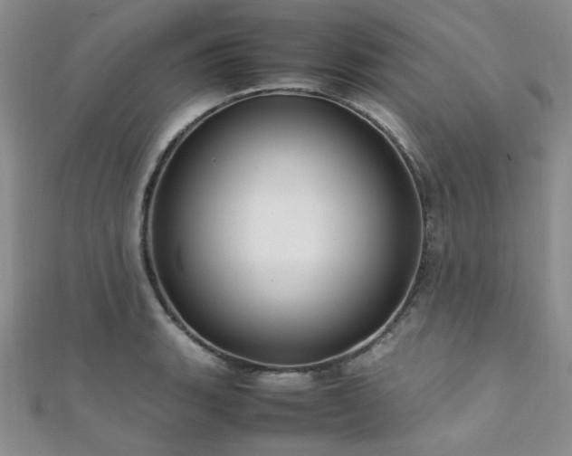 X0000112111135200908041536