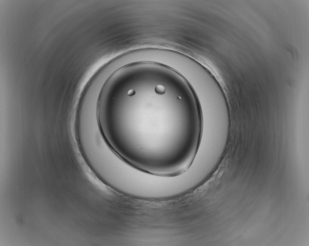 X0000112111136200908041536