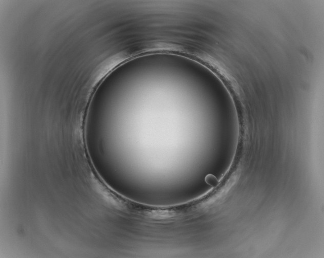 X0000112111137200908041536