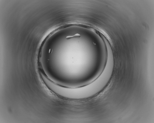 X0000112111138200908041536