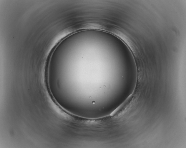 X0000112111139200908041536