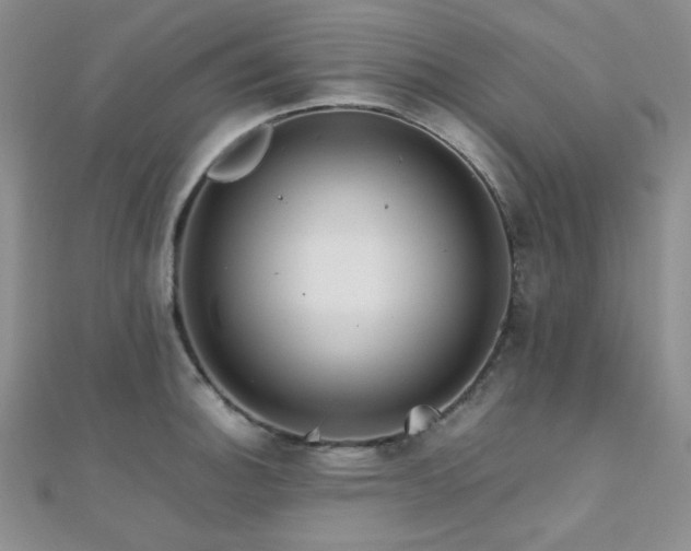 X0000112111140200908041536