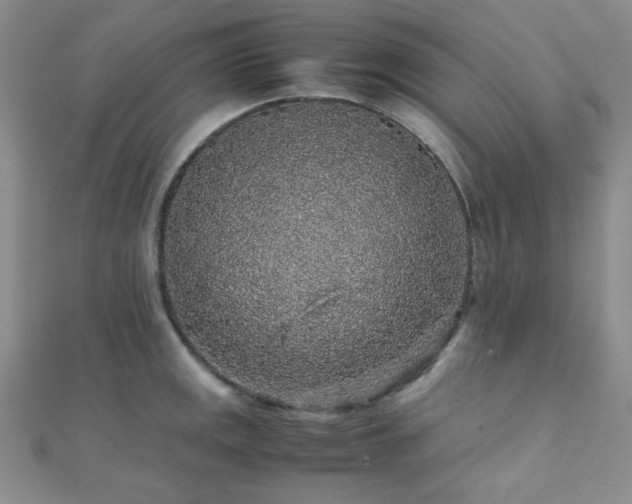 X0000112111141200908041536