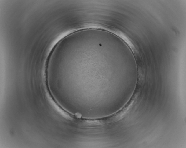 X0000112111142200908041536