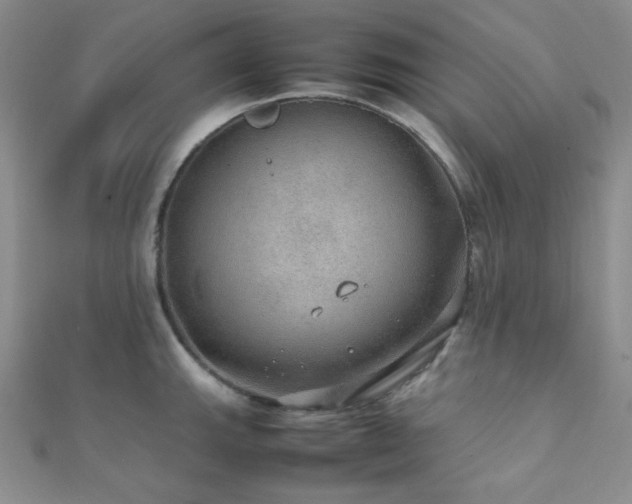 X0000112111143200908041536