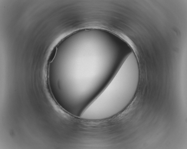 X0000112111144200908041536