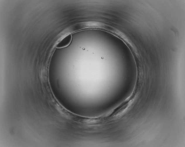 X0000112111145200908041536